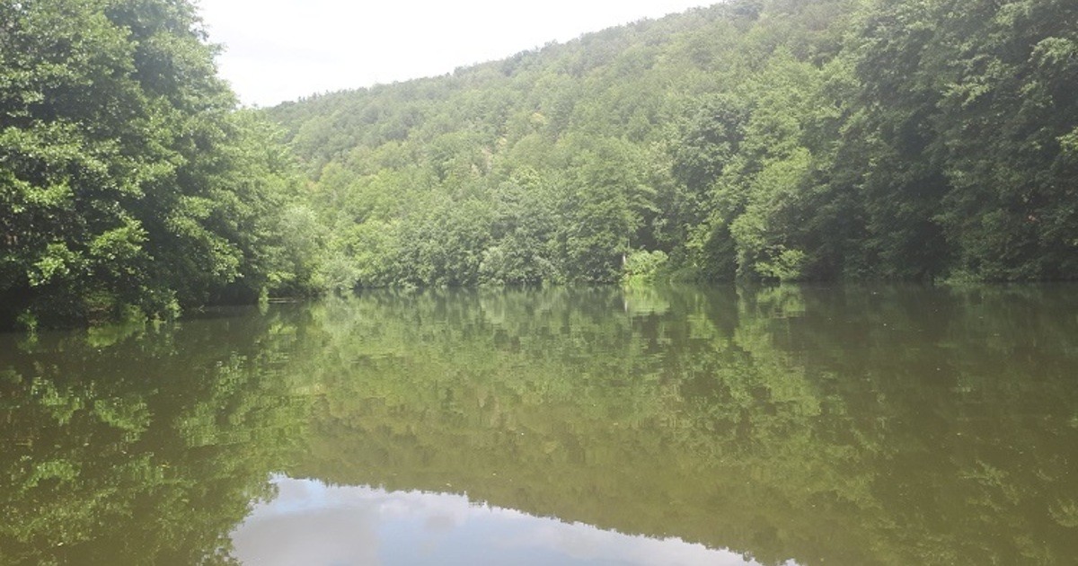 Fische-in-Schwarzenfeld-mit-blo-en-H-nden-aus-der-Naab-gefischt