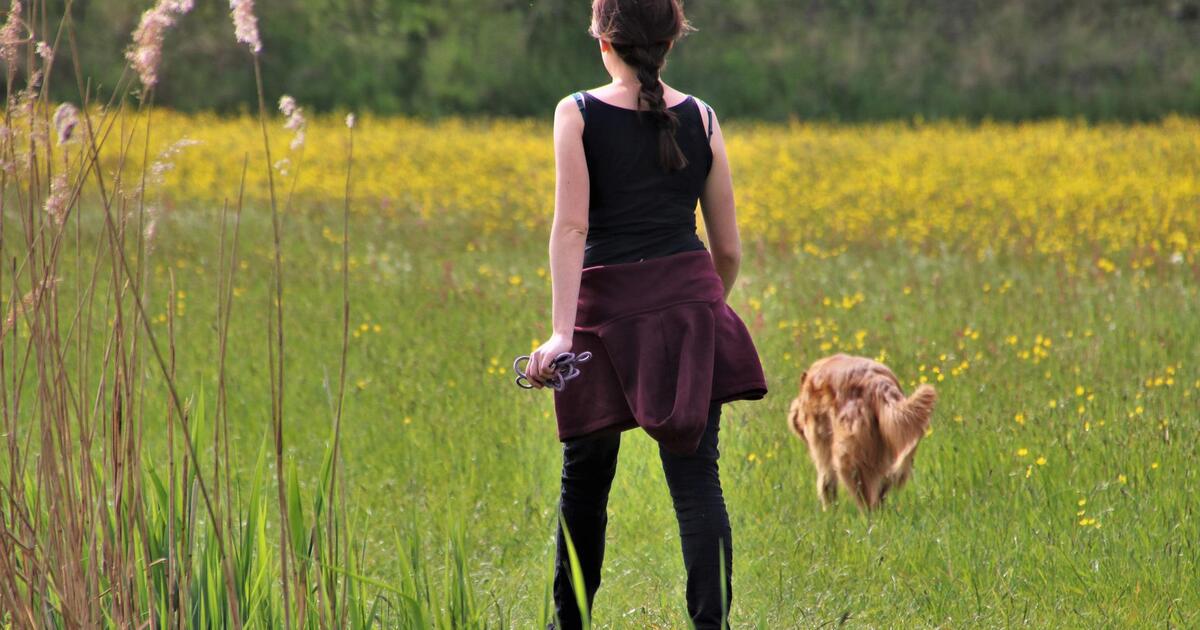 Hundehasser-legt-Giftk-der-bei-Postbauer-Heng-aus