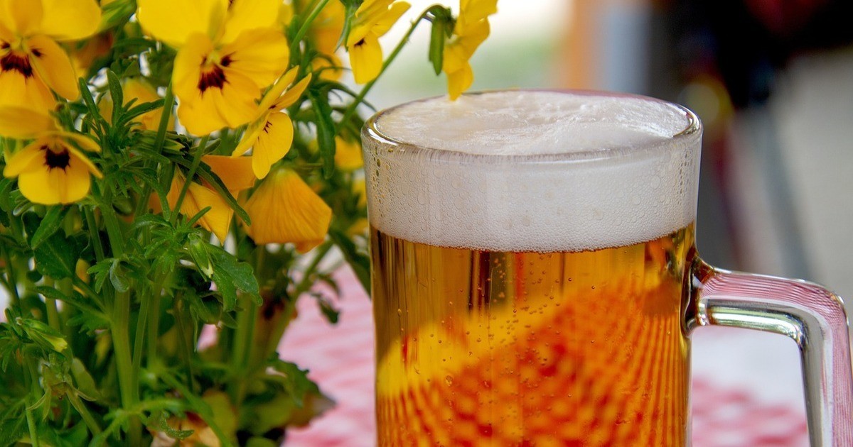 Bierwanderweg-in-Velburg-vorgestellt