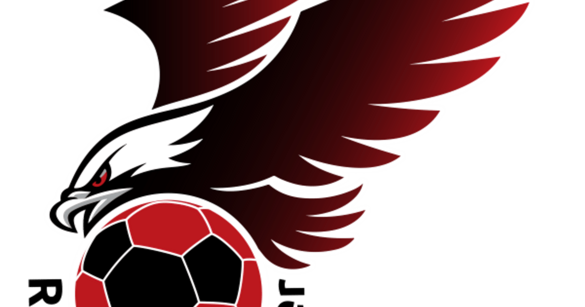 Handball-Regensburg-Adler-in-der-Spur-Klappt-es-heute-mit-dem-sechsten-Sieg-in-Folge-