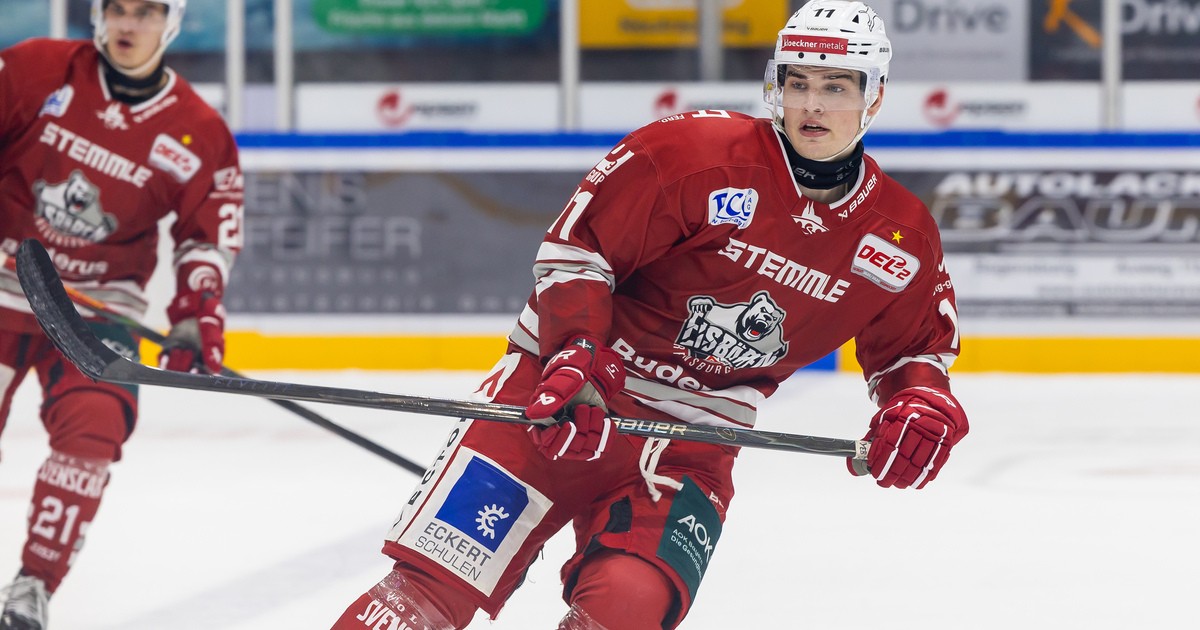 Eishockey-Eisb-ren-Regensburg-hoffen-vor-Spiel-beim-Primus-auf-Sieg-bei-der-D-sseldorfer-EG