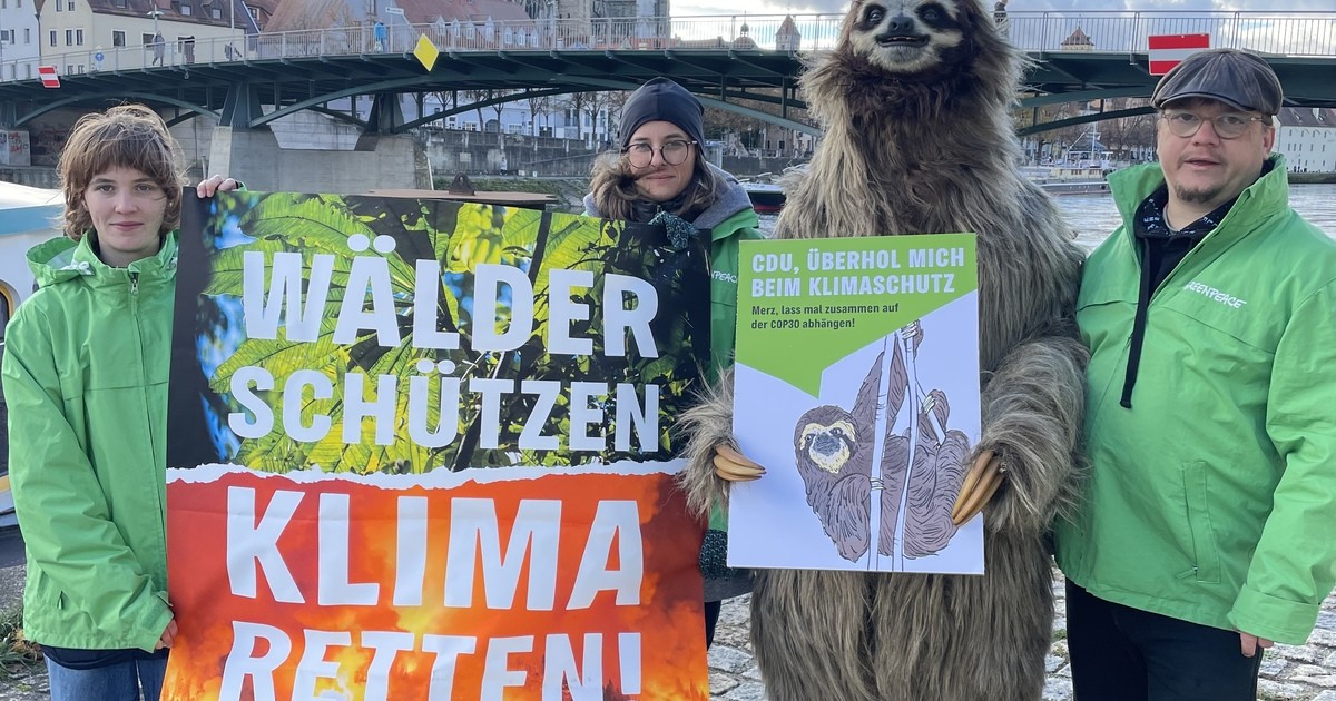 Erneute-Greenpeace-Mahnwache-in-Regensburg