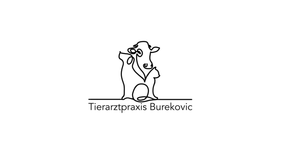 Tierarztpraxis-Jasmin-Burekovic-sucht-Tierarzt-f-r-Gro-tierpraxis-m-w-d-