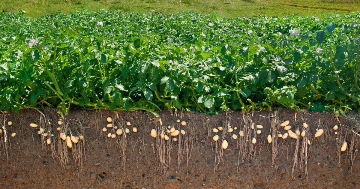 Heute-Abend-Auftakt-der-Neumarkter-Nachhaltigkeitskonferenz