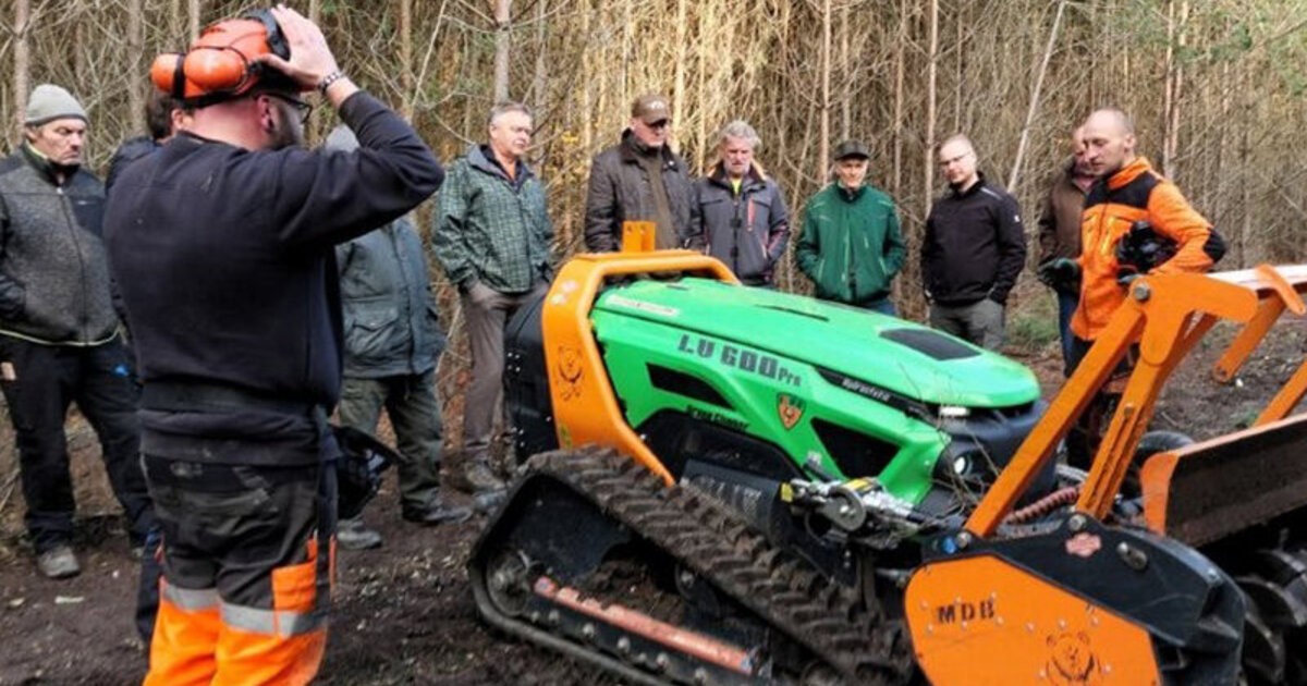 Maxh-tte-Haidhof-Am-Rohrhofweiher-soll-ein-stabiler-Zukunftswald-entstehen