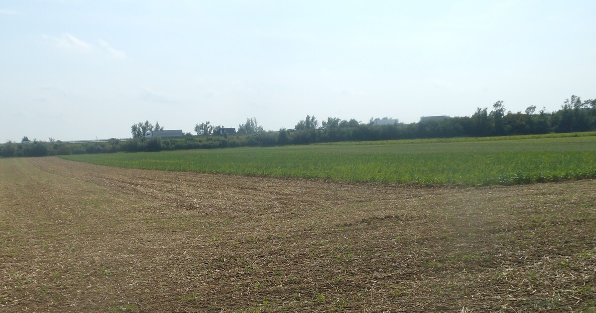 Agrardrohne-hilft-im-Landkreis-Regensburg-beim-Auss-en-von-Zwischenfr-chten-f-r-das-Grundwasser