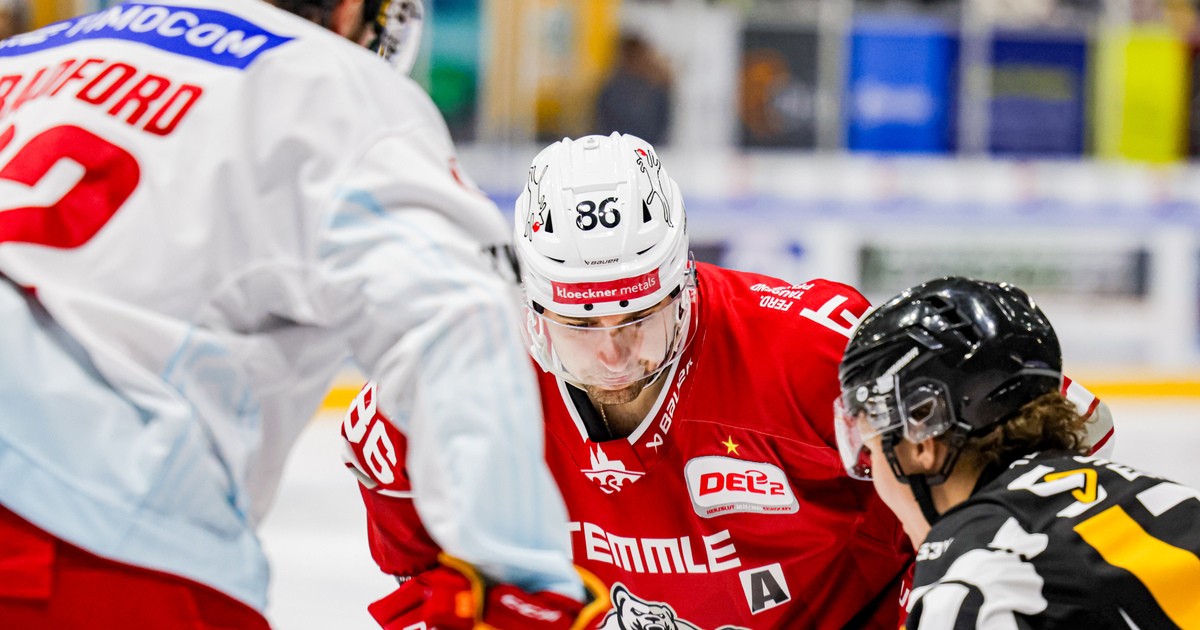 Eisb-ren-Regensburg-k-mpfen-Freitag-Abend-gegen-Landshut-und-f-r-Toleranz