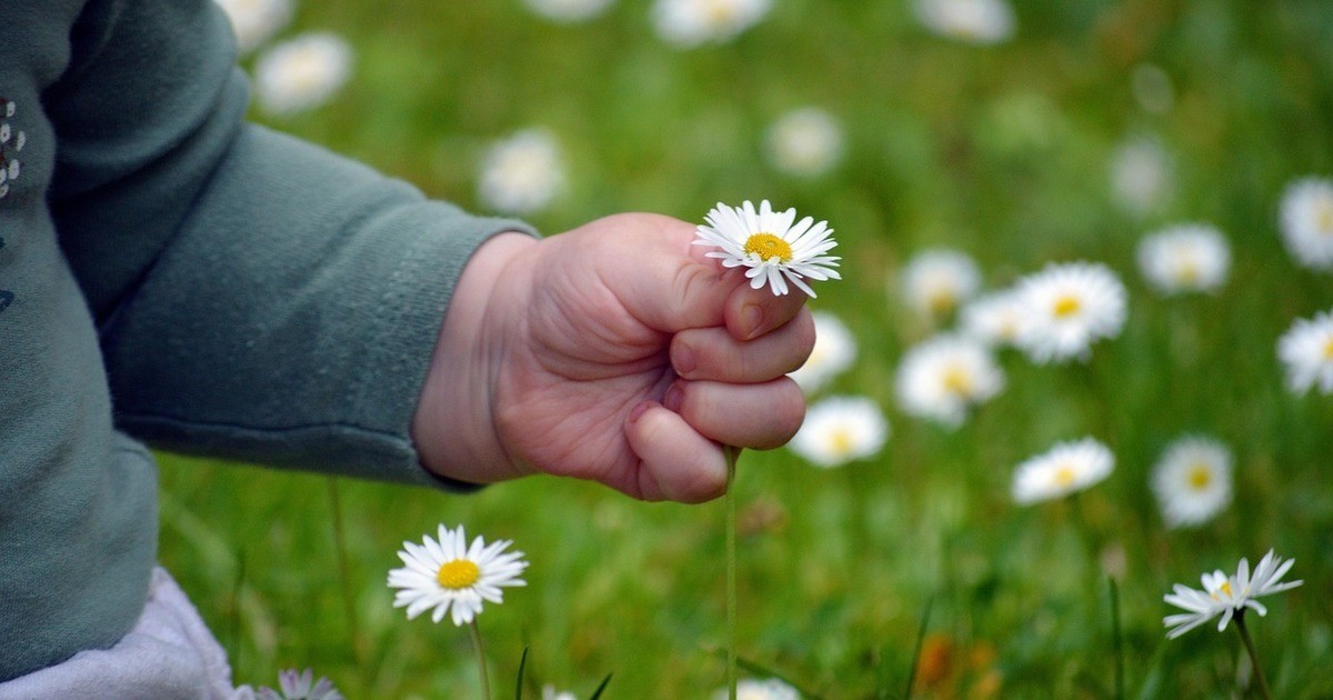 Umweltminister-Glauber-verleiht-in-Regensburg-Bayerischen-Klimaschutz-Preis