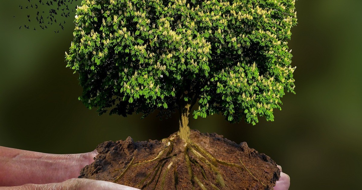 Ratisbona-Handelsimmobilien-in-Regensburg-bekommt-Bayerischen-Klimaschutz-Preis