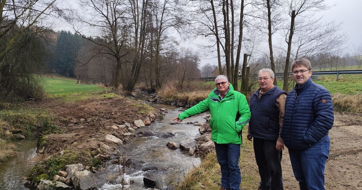Perlbach-bei-Falkenstein-erfolgreich-renaturiert