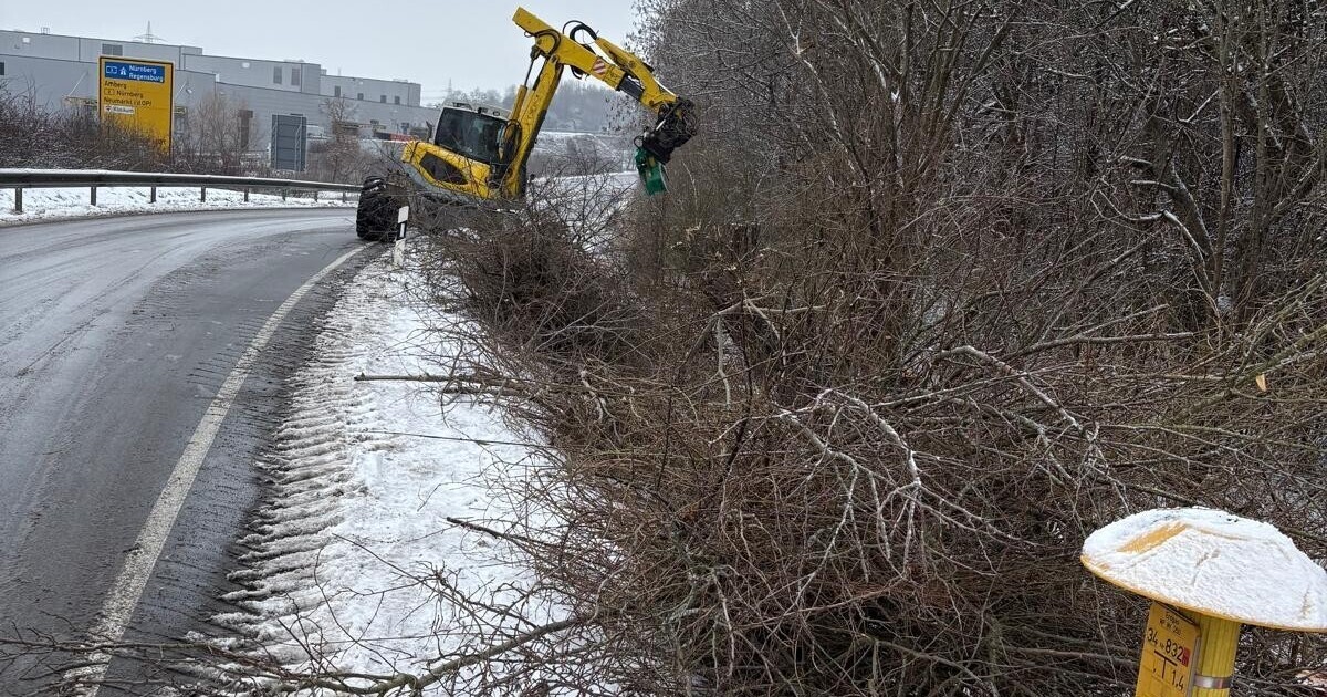 Geh-lz-R-ckschnitt-an-Stra-en-im-Landkreis-Neumarkt