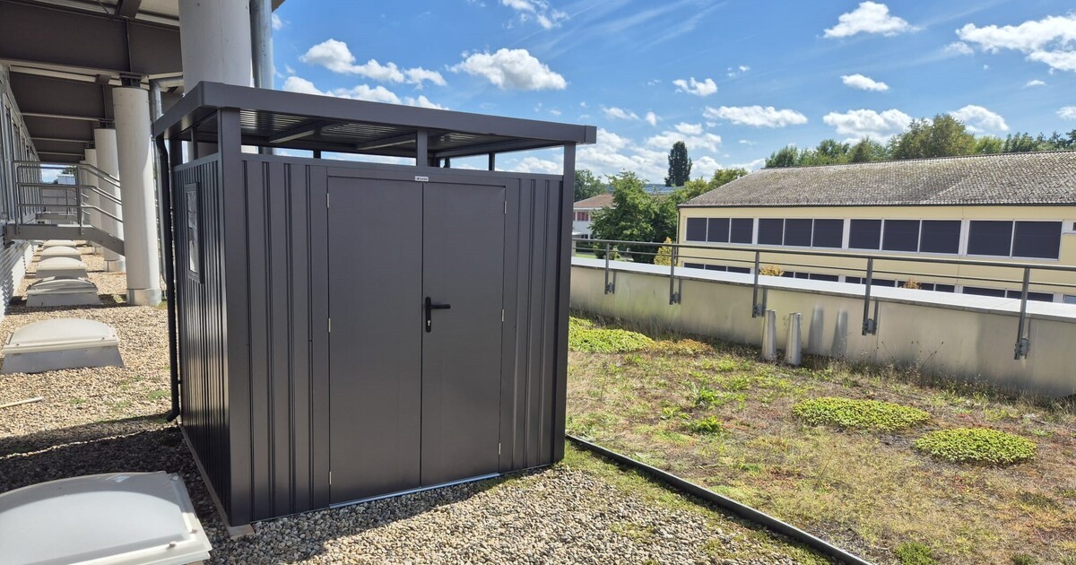 Nittenau-Stadt-appelliert-an-die-B-rger-keine-Tauben-zu-f-ttern