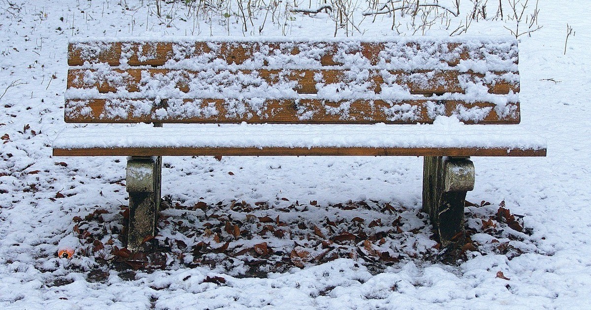 Exhibitionist-im-Albert-Schweitzer-Park-in-Regensburg