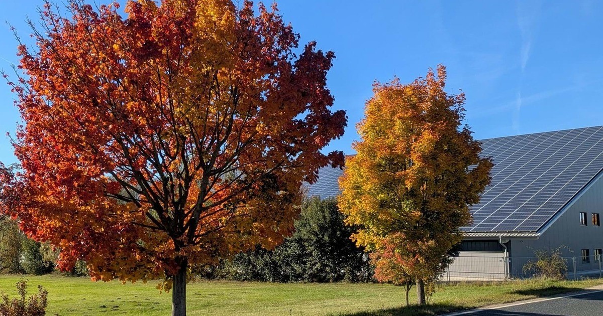 Landkreis-Cham-Zukunftstag-informiert-ber-den-Weiterbetrieb-von-PV-Anlagen-nach-Verg-tungsende