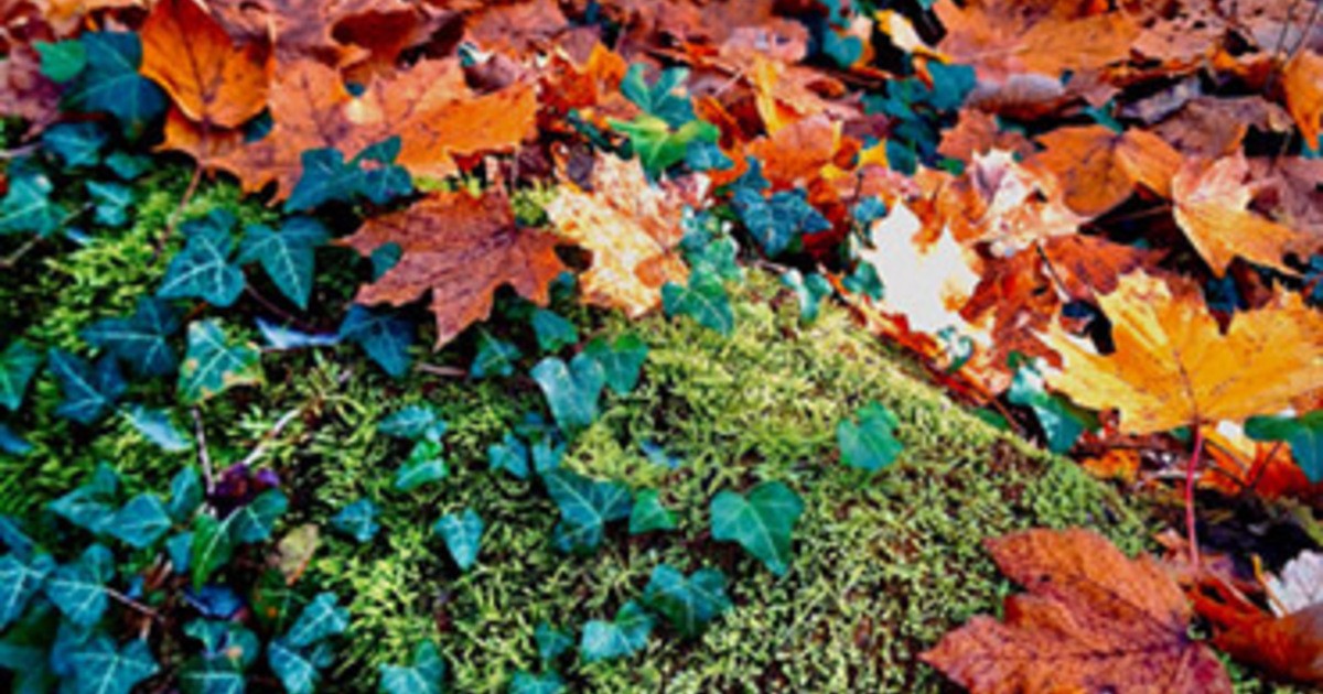 M-dchen-aus-Kelheim-holt-Preis-bei-Fotowettbewerb