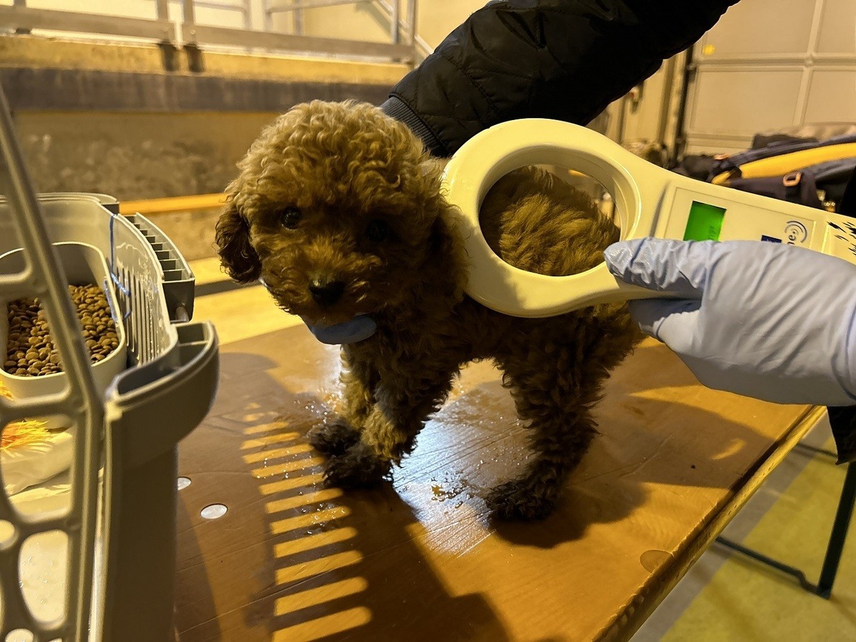 &copy; Polizei Furth im Wald