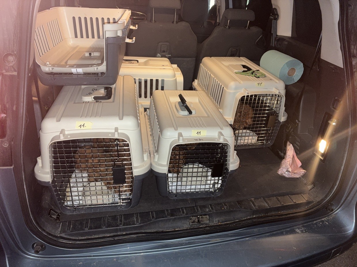 &copy; Polizei Schwandorf