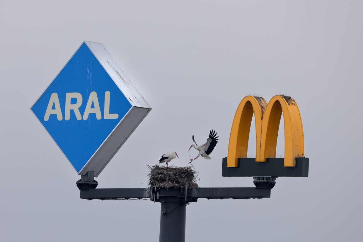 &copy; Bild: Homepage vom Wettbewerb "Natur im Fokus"