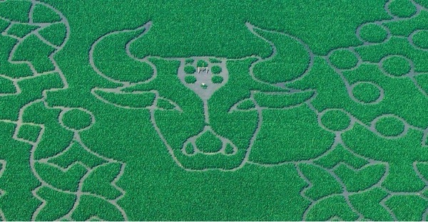 &copy; Irrgarten Straubing