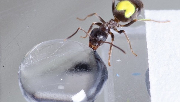 &copy; &copy; Julia Giehr