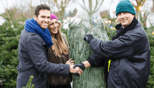 &copy; Weihnachtsb&auml;ume Regensburg / genehmigt von Horst Nie&szlig;er