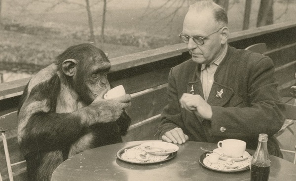 &copy; Stadtarchiv Straubing