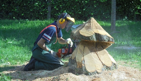 &copy; Anja Simmel, OGV Illkofen-Eltheim