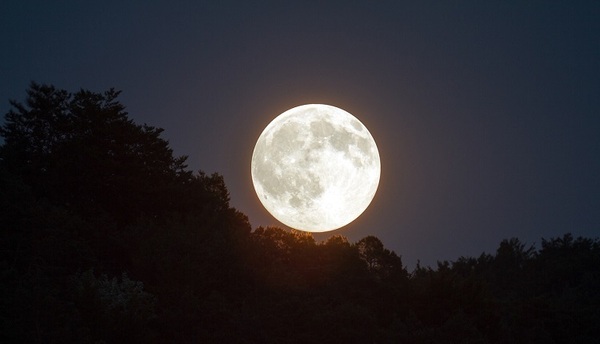 &copy; kasabubu/pixabay