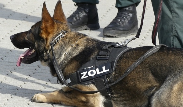 &copy; Bundeszollverwaltung