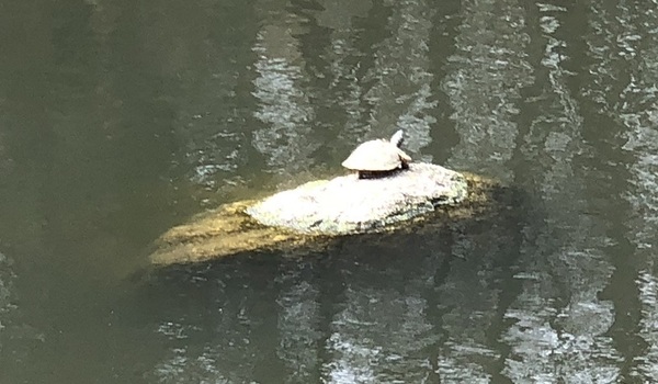 &copy; Martin Behringer