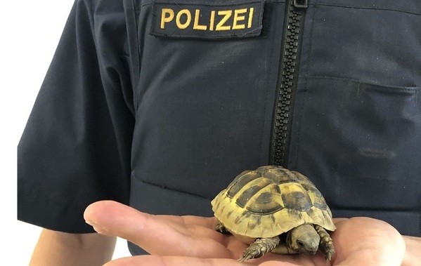 © Polizeiinspektion Regensburg Süd