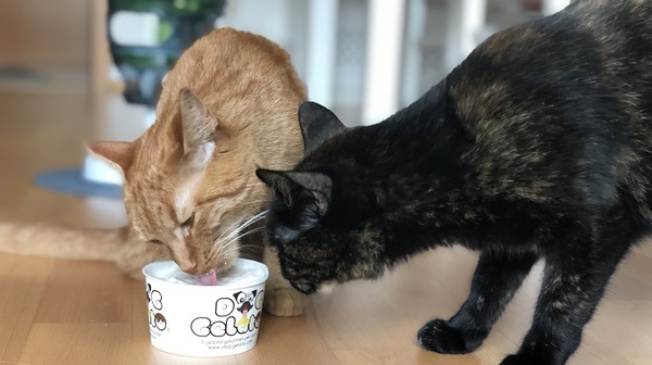 &copy; charivari/Alina Bielke