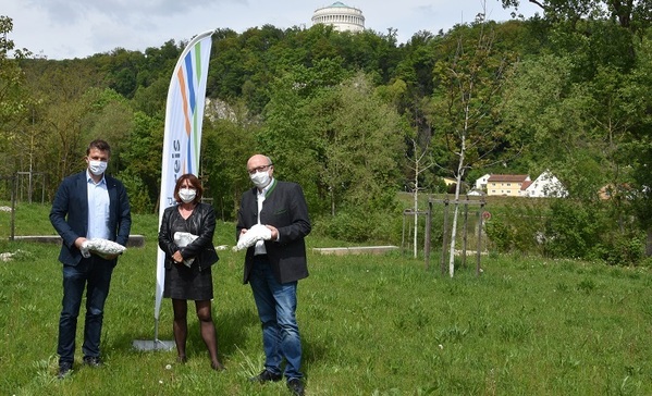 &copy; Marcus D&ouml;rner