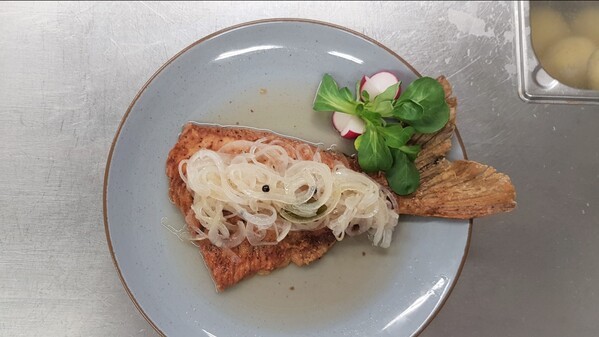 David Lucke, Spitalgarten Regensburg, &copy; David Lucke, Spitalgarten Regensburg