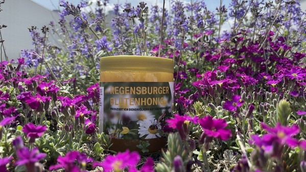 &copy; BMW Regensburg