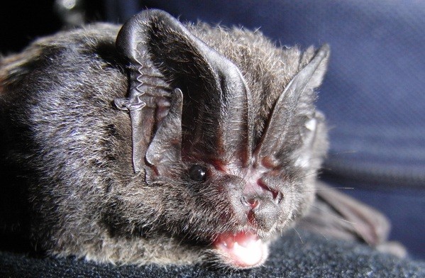 Dr. Andreas Zahn, &copy; Dr. Andreas Zahn