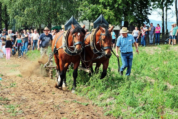 Felix Sch&auml;ffer, &copy; Felix Sch&auml;ffer