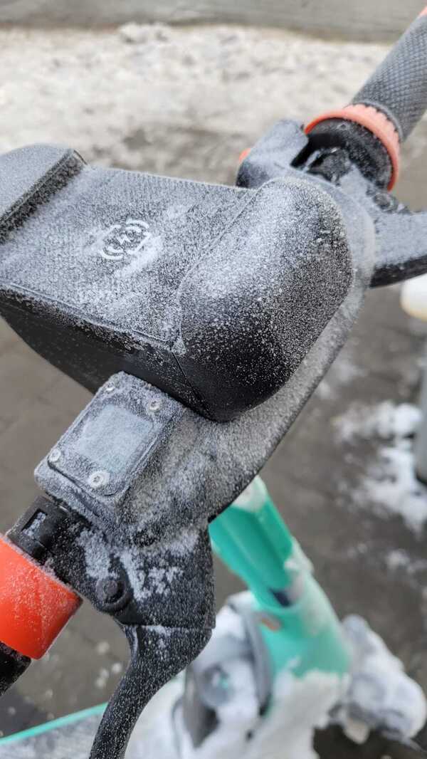 &copy; charivari (Max Moser)