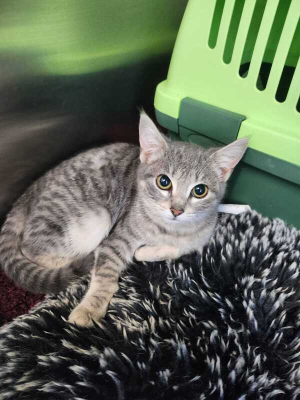 &copy; Polizei Regensburg S&uuml;d