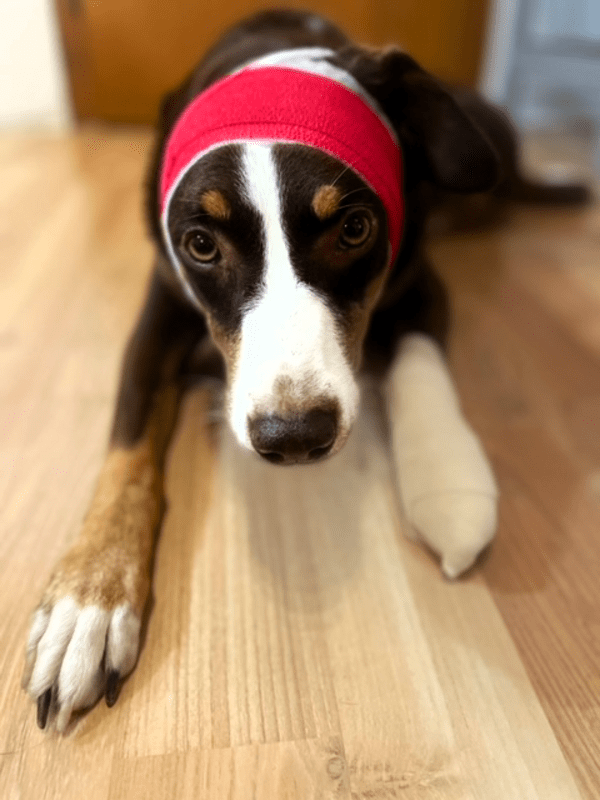 &copy; Fotonachweis: Melanie Weinhold