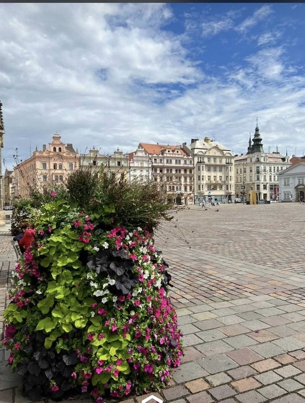 &copy; Franz Kloiber