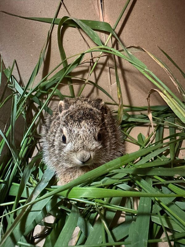 &copy; Polizeihauptmeister Daniel Tr&ouml;ger, PI Neunburg vorm Wald