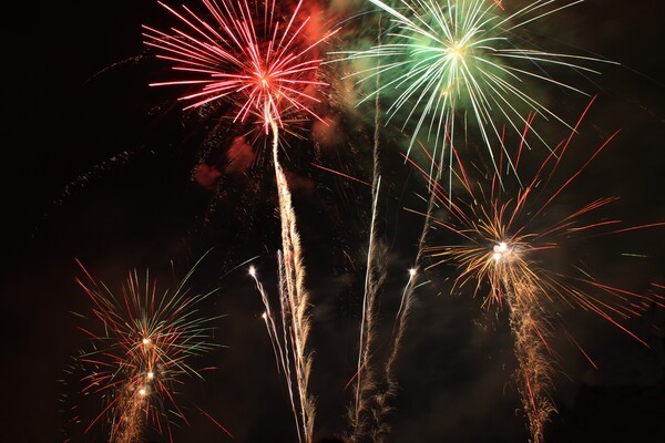 &copy; Stadt Berching; Feuerpalmen &uuml;ber dem Kanal