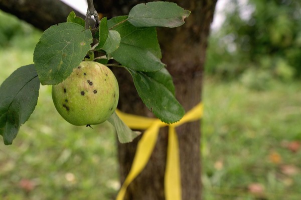 &copy; Bild: Johannes Paffrath