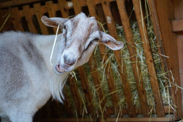 &copy; Paulina Gr&uuml;newald