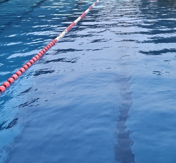 &copy; Bild: charivari