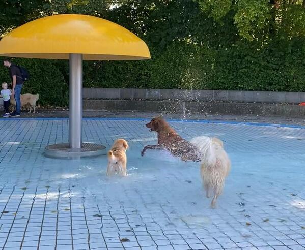 &copy; charivari / vw