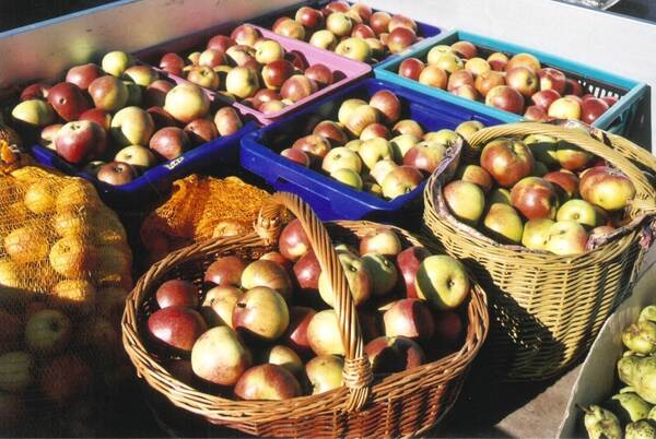 &copy; Bild: Heidrun Waidele