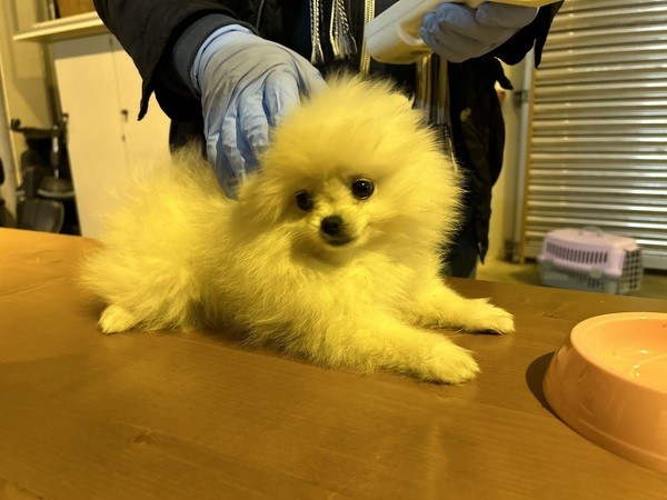 &copy; Polizei Furth im Wald