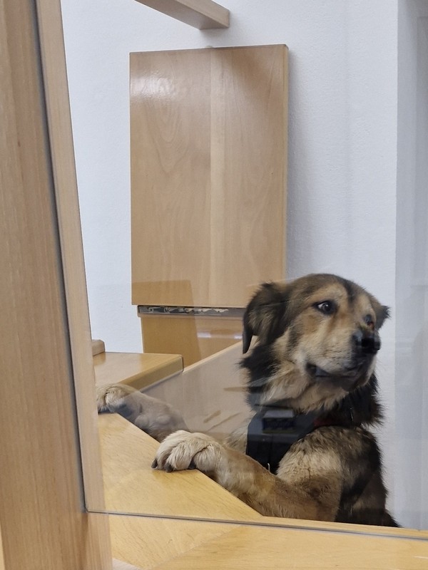 &copy; Polizei Sulzbach-Rosenberg